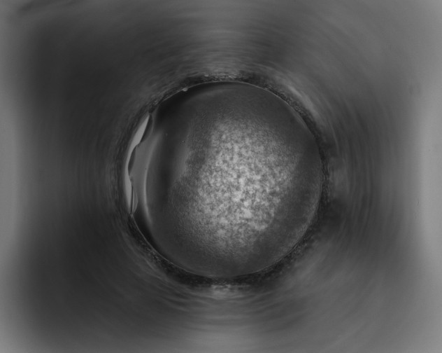 X0000093260641200710101459