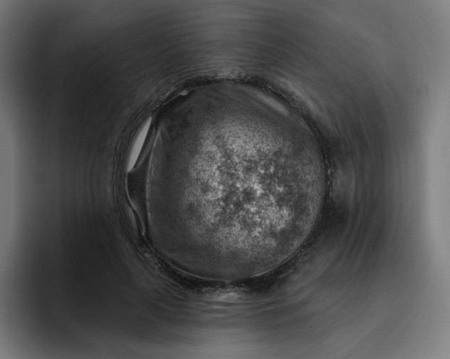 X0000093260643200710101459