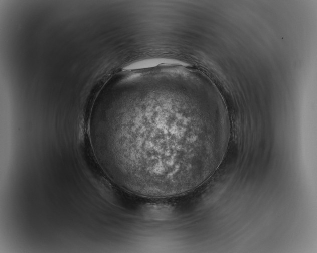 X0000093260644200710101459