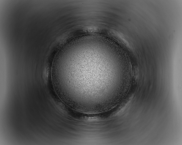 X0000093260645200710101459