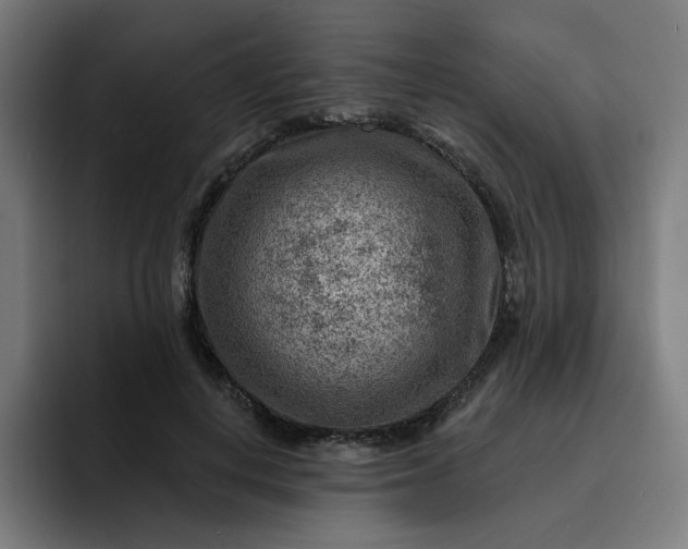 X0000093260648200710101459