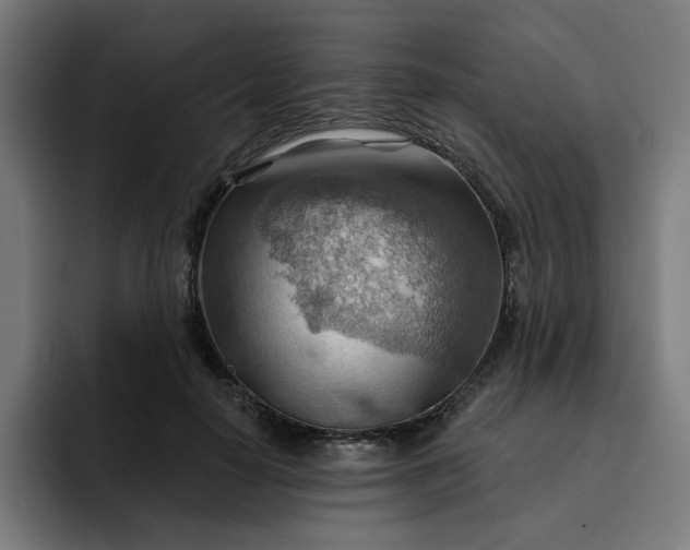 X0000093260650200710101500