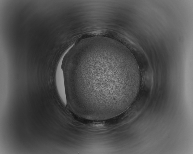 X0000093260651200710101500