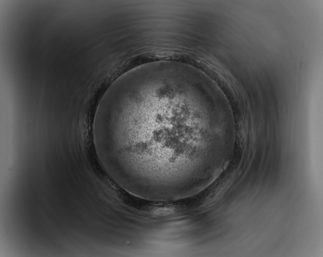 X0000093260653200710101500