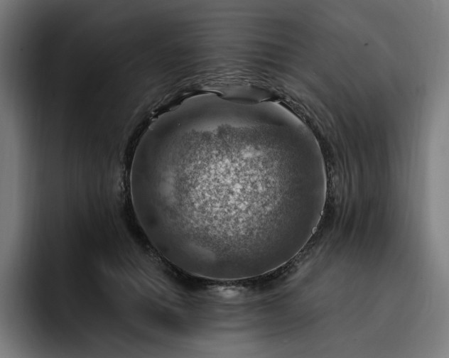 X0000093260654200710101500