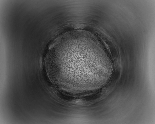 X0000093260655200710101500