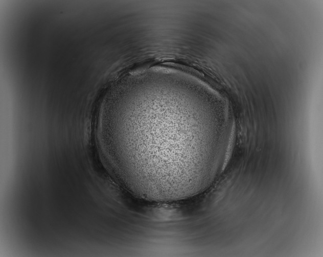 X0000093260656200710101500