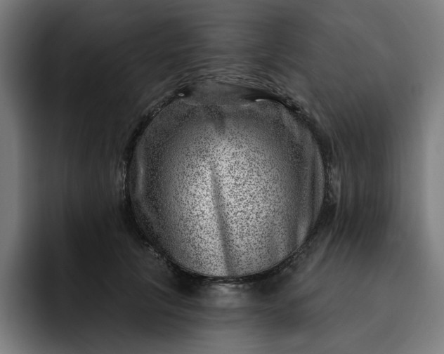 X0000093260657200710101500