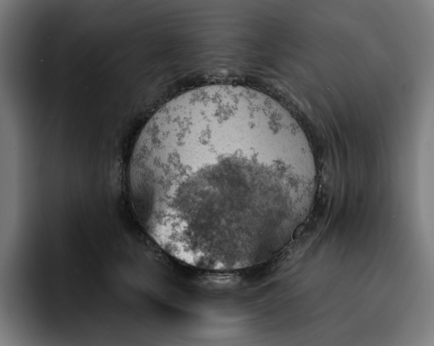 X0000093260659200710101500