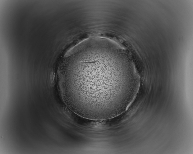 X0000093260660200710101500