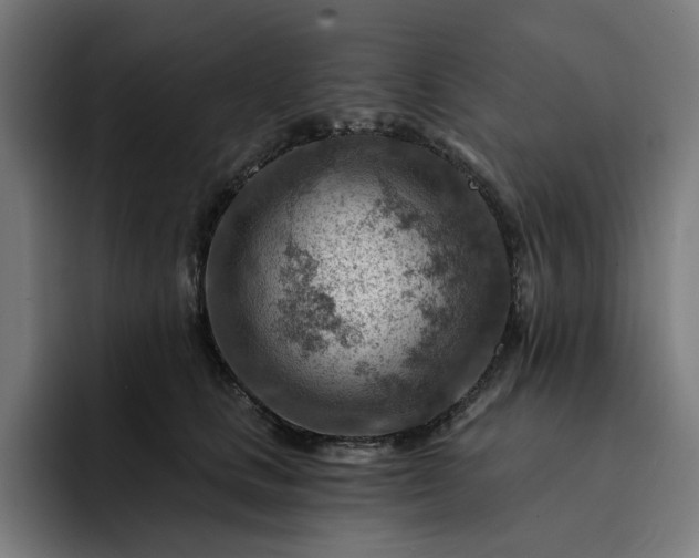 X0000093260661200710101500