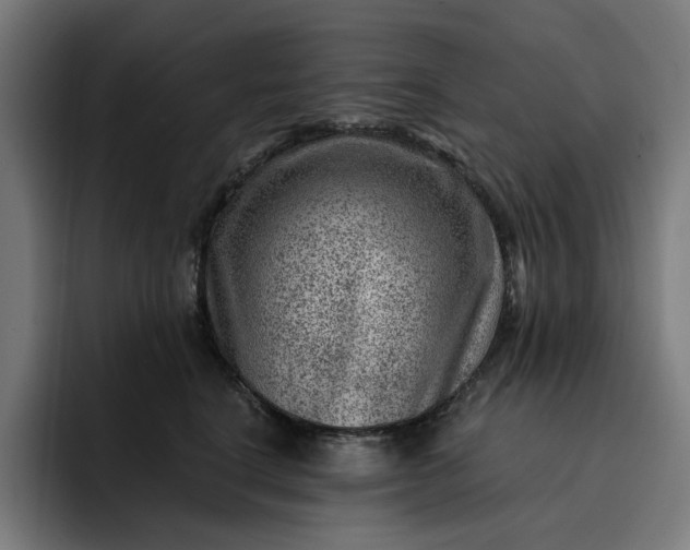 X0000093260664200710101500