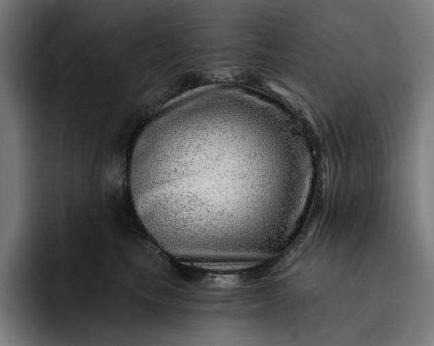 X0000093260665200710101500