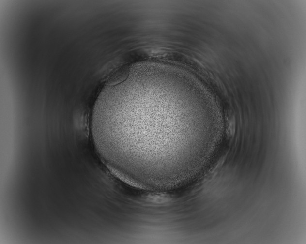 X0000093260666200710101500