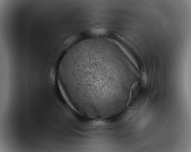 X0000093260668200710101500