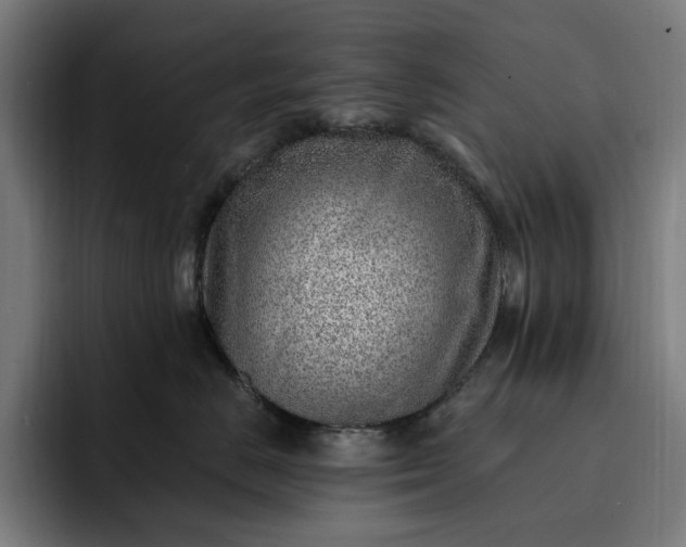 X0000093260670200710101500