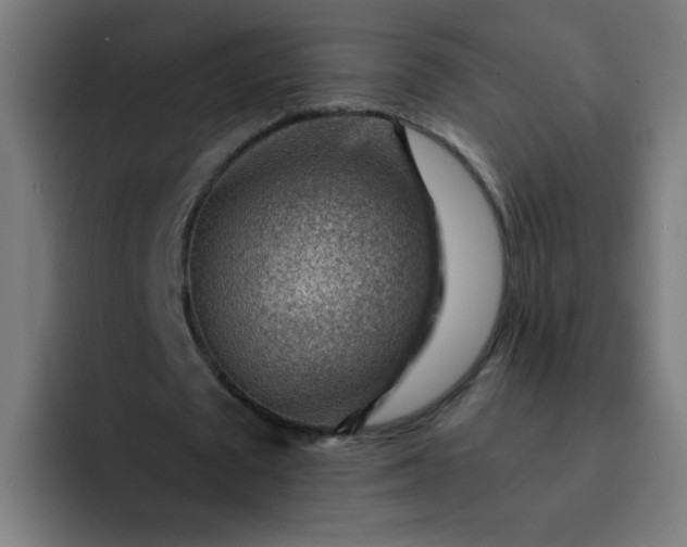 X0000093260673200710101459