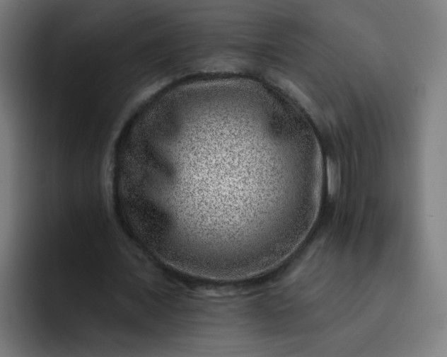 X0000093260675200710101459