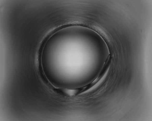 X0000093260676200710101459