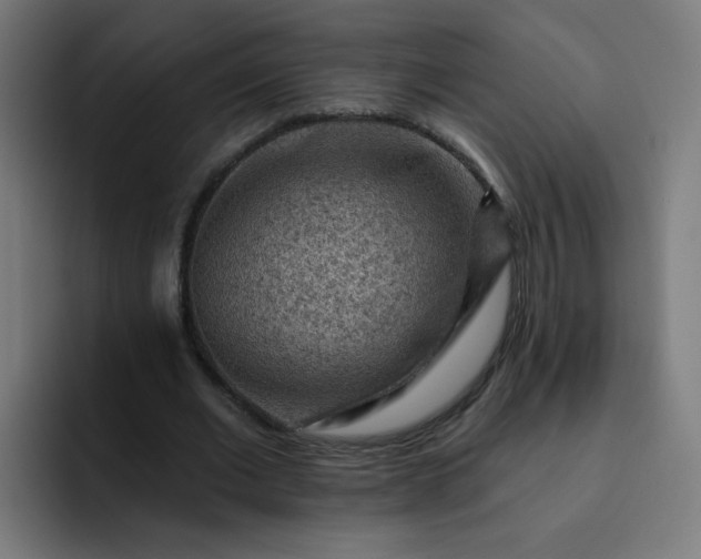 X0000093260677200710101459