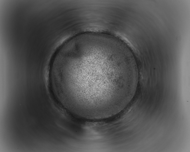 X0000093260679200710101459