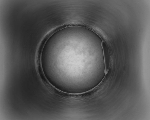 X0000093260680200710101459