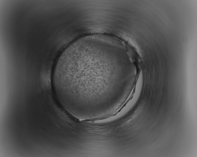 X0000093260681200710101459