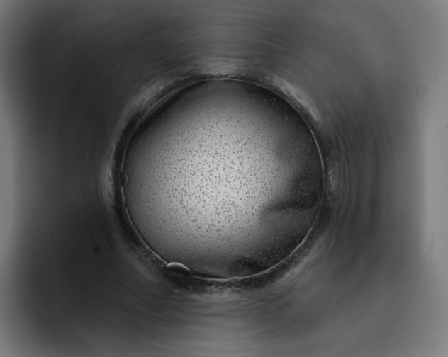 X0000093260682200710101459