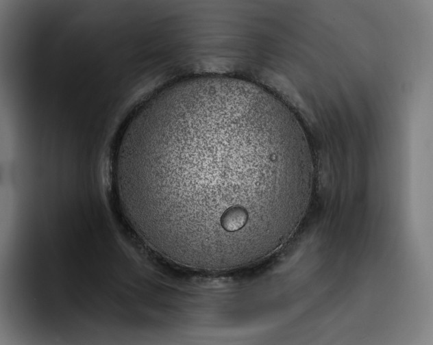 X0000093260683200710101459