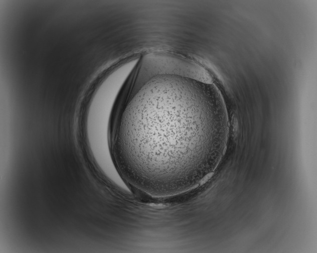 X0000093260684200710101459