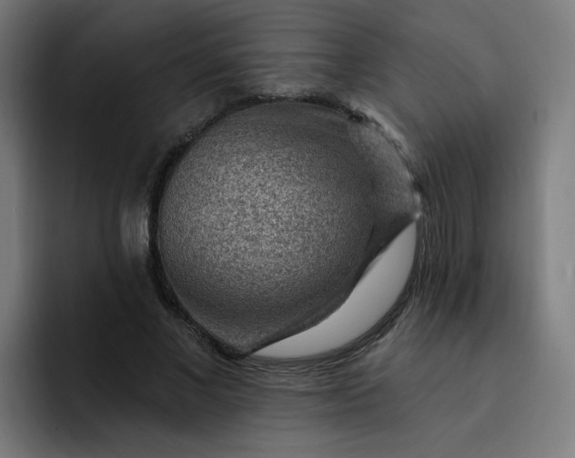 X0000093260685200710101459