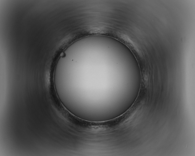 X0000093260686200710101459