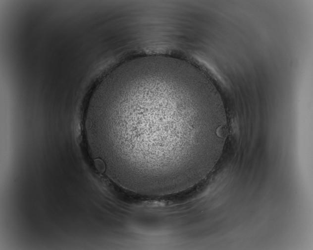 X0000093260687200710101459