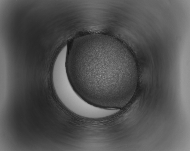 X0000093260689200710101459