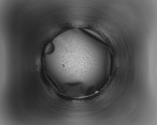 X0000093260690200710101459