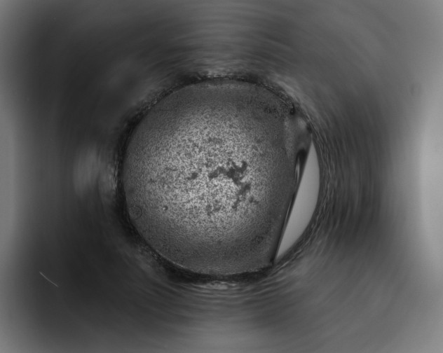 X0000093260691200710101459