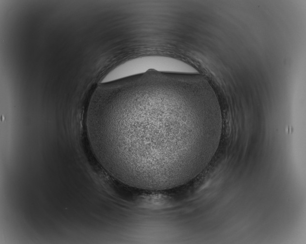 X0000093260695200710101459