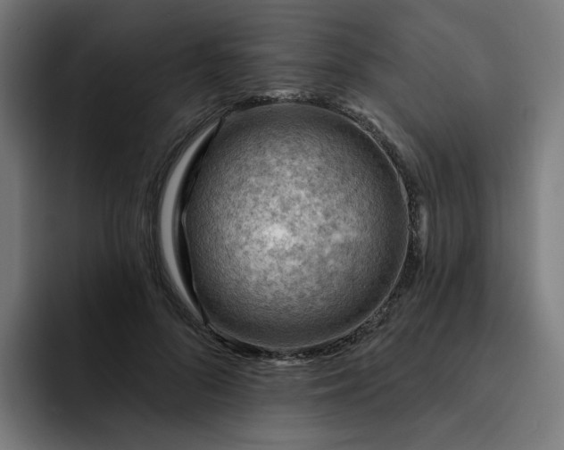 X0000093260696200710101459