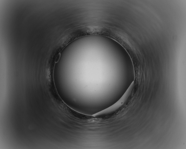 X0000093260700200710101459