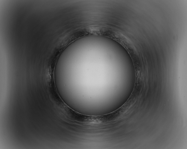 X0000093260702200710101459