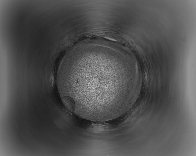 X0000093260703200710101459