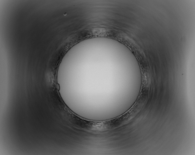 X0000093260705200710101459