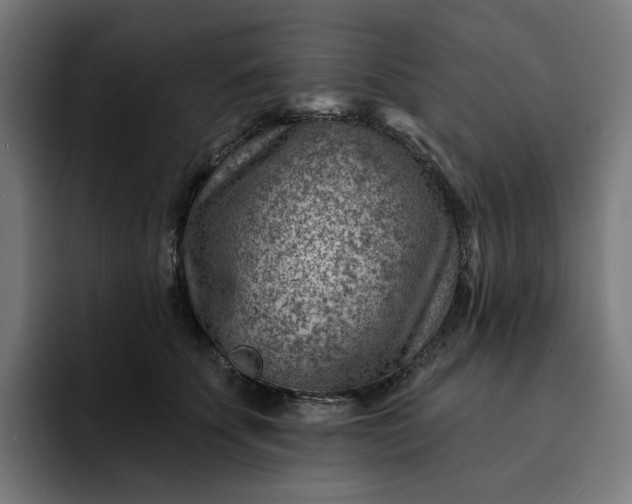 X0000093260707200710101459