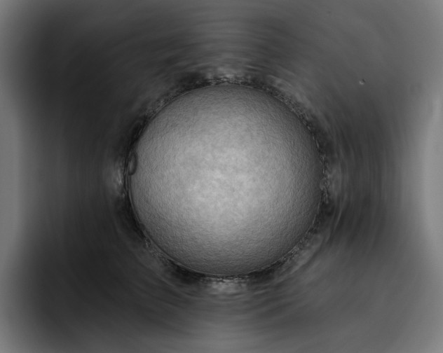 X0000093260709200710101459