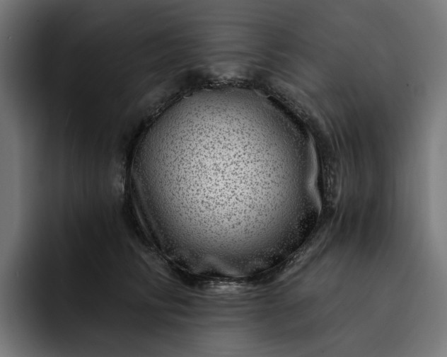 X0000093260710200710101459