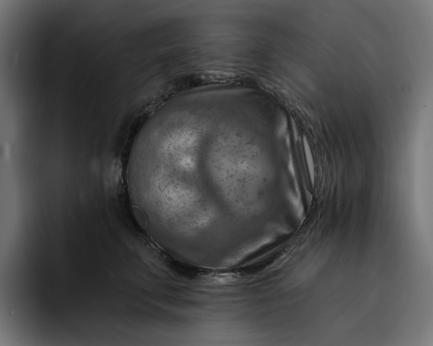 X0000093260711200710101459