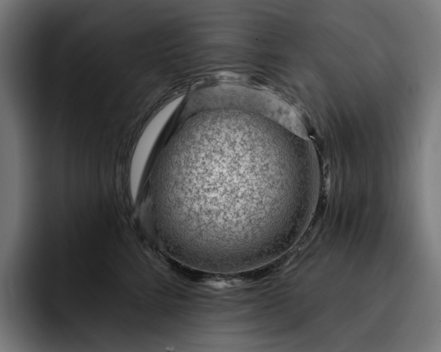 X0000093260712200710101459