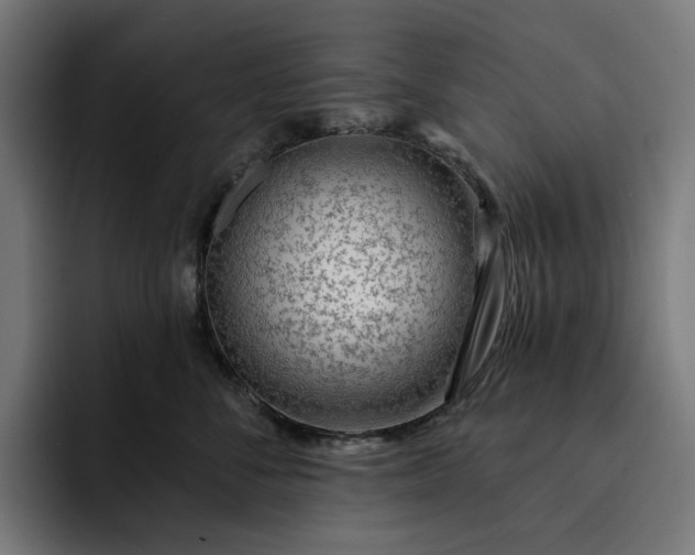 X0000093260716200710101459