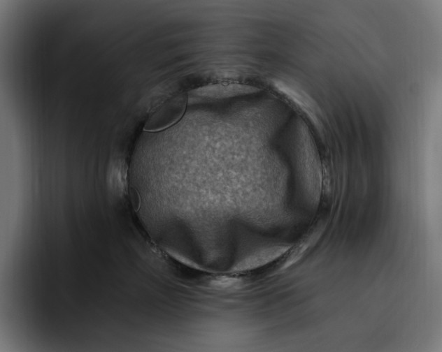 X0000093260718200710101459