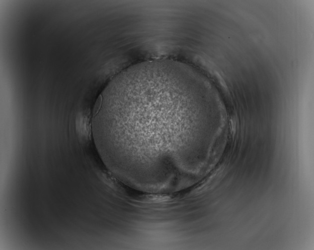 X0000093260719200710101459